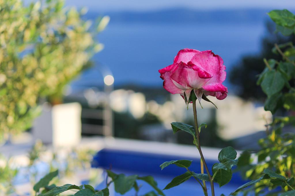 Villa Levanda Makarska Exterior photo